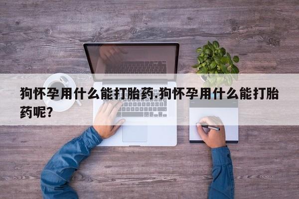 推荐个卖打胎药的微信狗怀孕用什么能打胎药.狗怀孕用什么能打胎药呢？