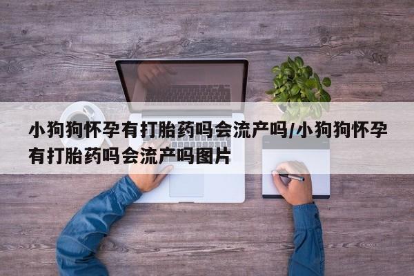 推荐个卖打胎药的微信资讯 第17页