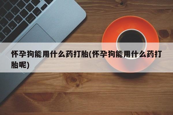 推荐个卖打胎药的微信怀孕狗能用什么药打胎(怀孕狗能用什么药打胎呢)