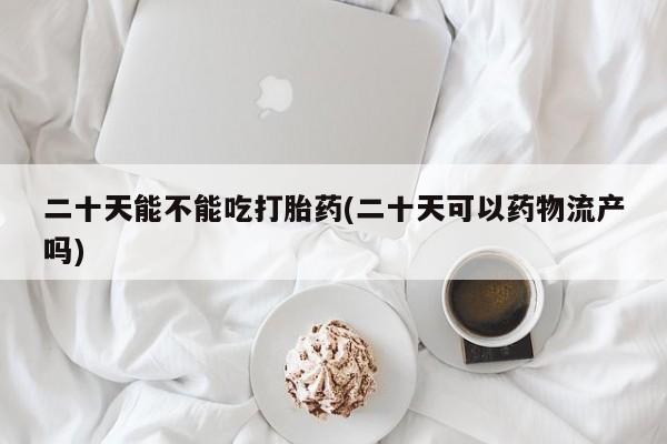 推荐个卖打胎药的微信二十天能不能吃打胎药(二十天可以药物流产吗)